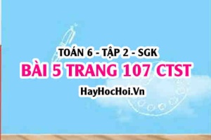 Giải bài 5 trang 107 Toán 6 Tập 2 Chân trời sáng tạo